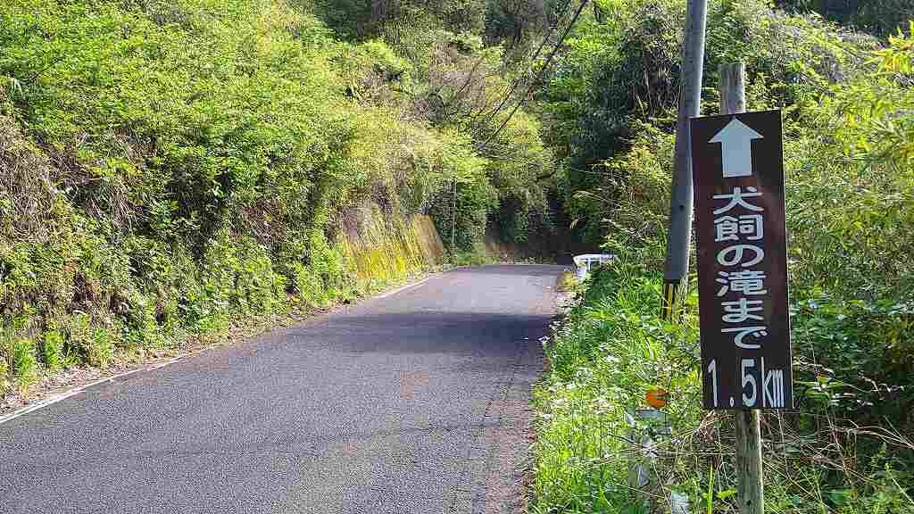 犬飼滝までの県道470号線は、半分がこのような道路