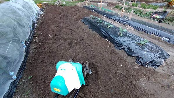 軽く取り回しが簡単なので、思いたったらすぐに作業ができる