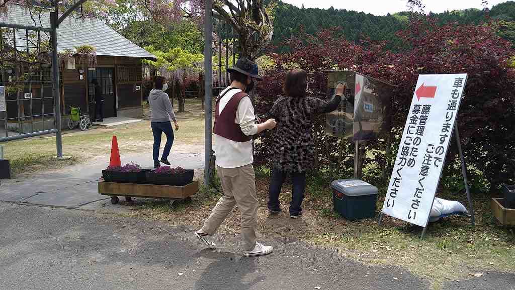 まつりが中止のため入場無料です。募金にご協力を。